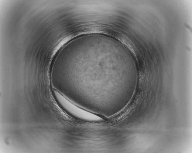 X0000097290789200802221311