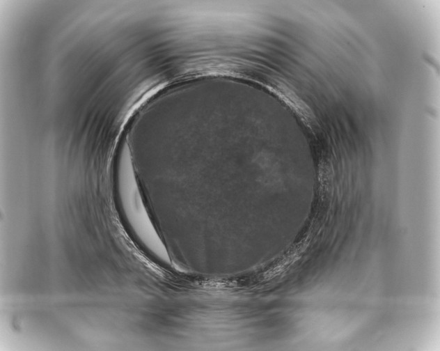 X0000097290790200802221311