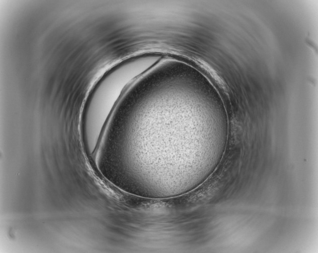 X0000097290791200802221311