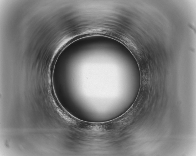 X0000097290792200802221311