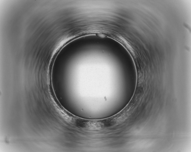 X0000097290795200802221311