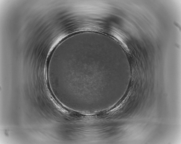 X0000097290796200802221311