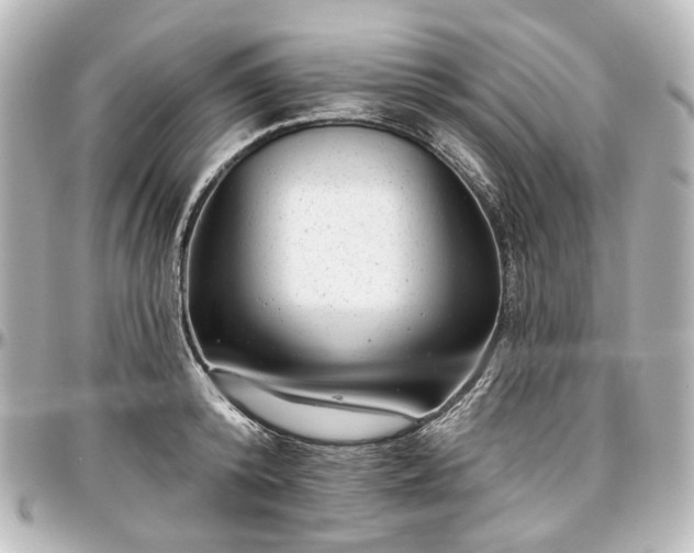 X0000097290800200802221310