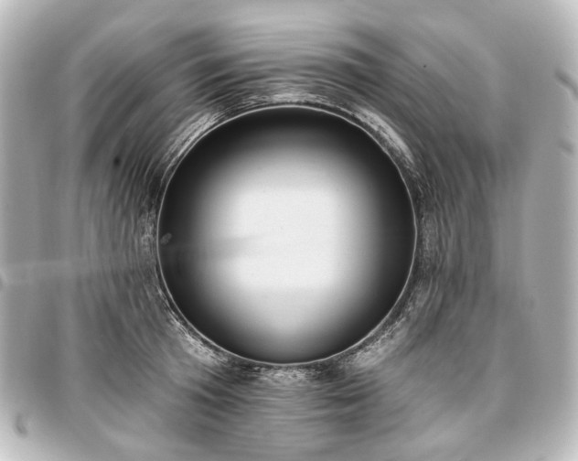 X0000097290801200802221310