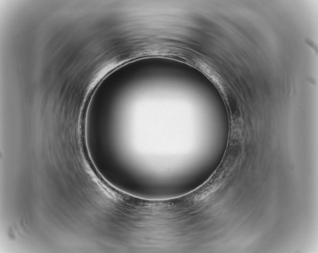 X0000097290803200802221310