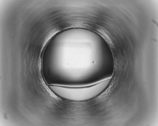 X0000097290804200802221310
