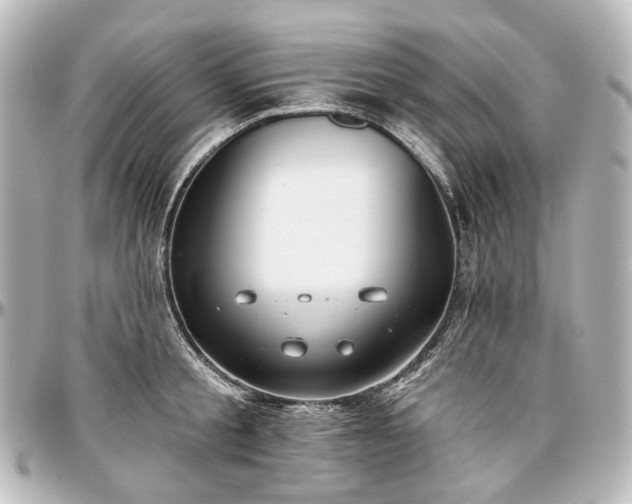 X0000097290805200802221310