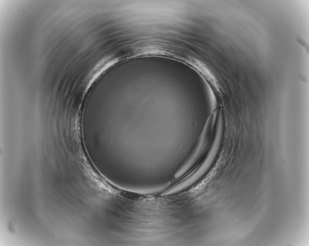 X0000097290806200802221310