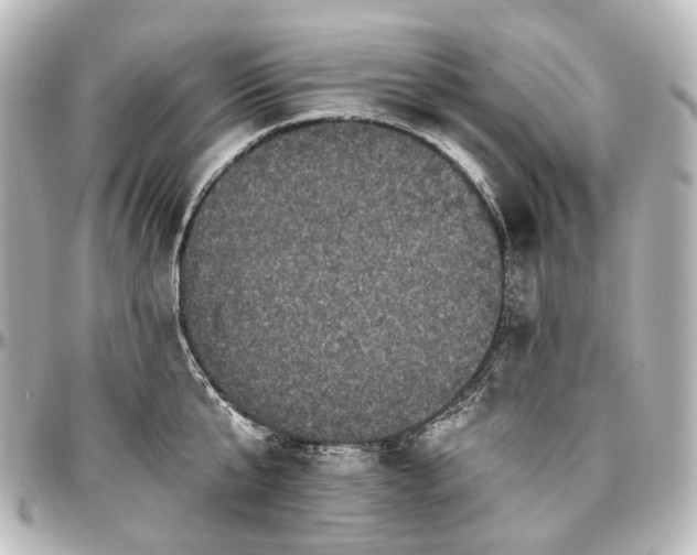X0000097290807200802221310