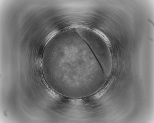 X0000097290809200802221310
