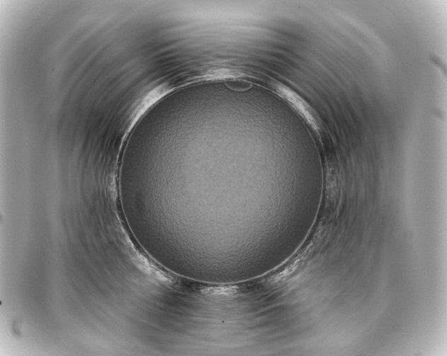 X0000097290810200802221310