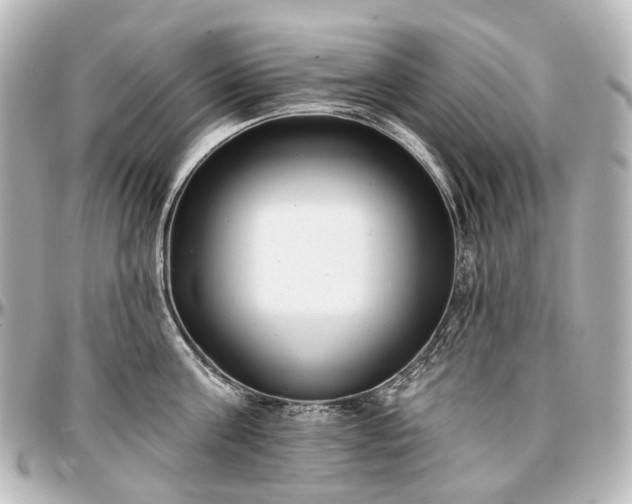 X0000097290811200802221310