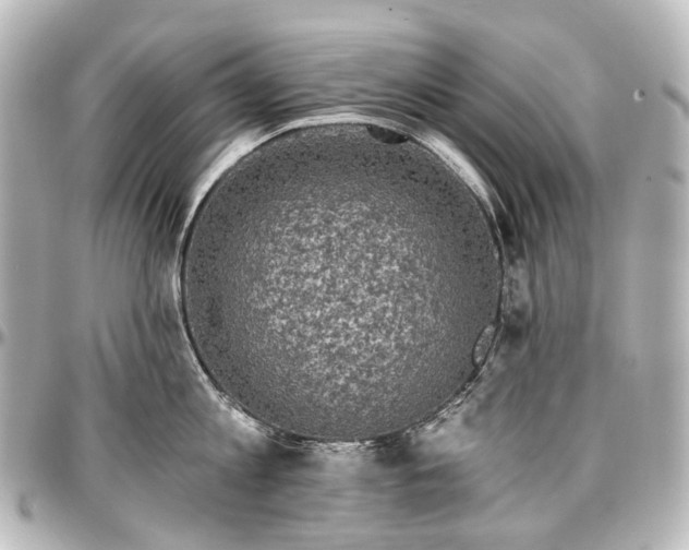 X0000097290813200802221310