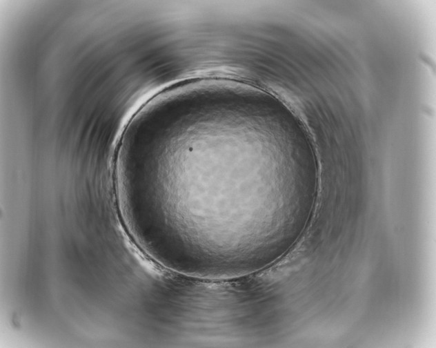 X0000097290816200802221310