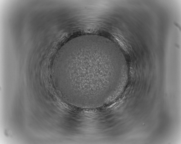 X0000097290817200802221310