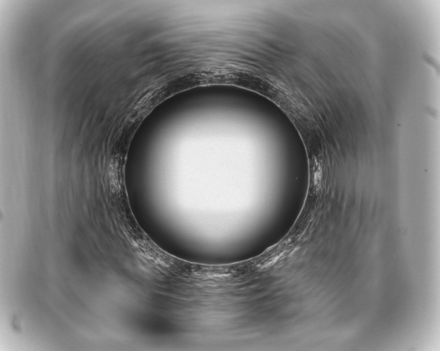 X0000097290819200802221310