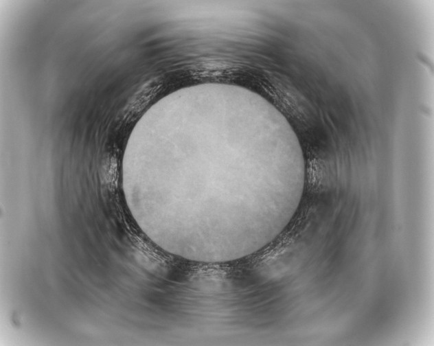 X0000097290820200802221310