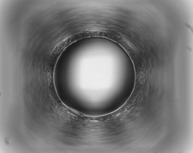 X0000097290821200802221310