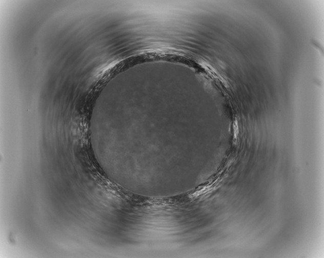 X0000097290822200802221310