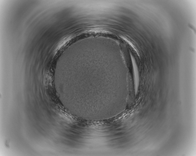 X0000097290823200802221310
