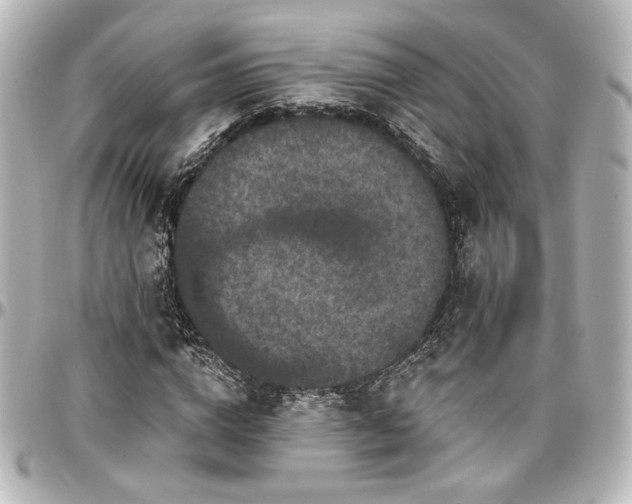 X0000097290824200802221310