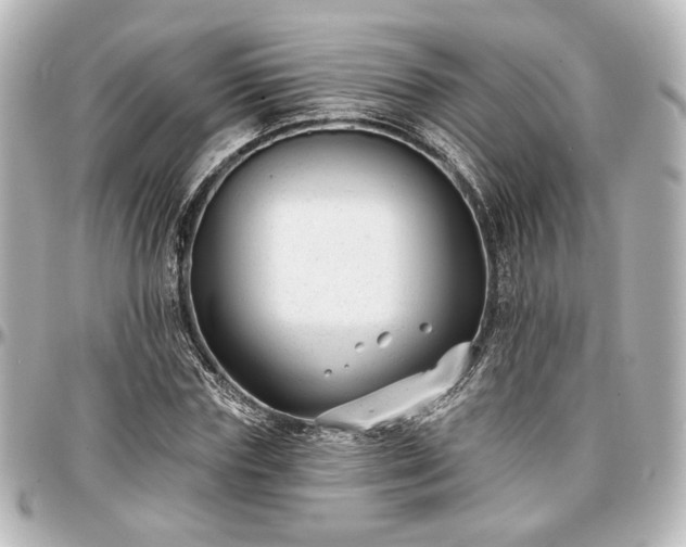X0000097290827200802221310
