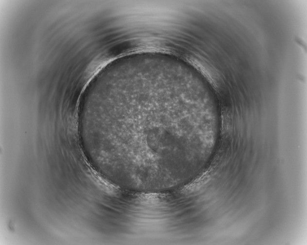 X0000097290828200802221310