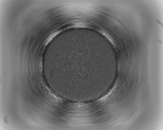 X0000097290829200802221310