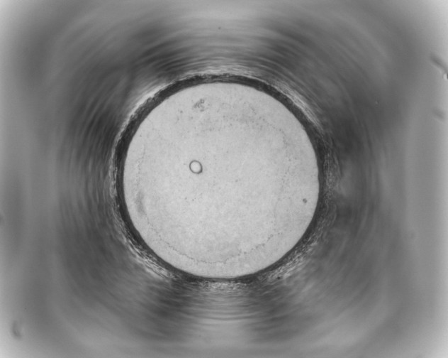 X0000097290832200802221310