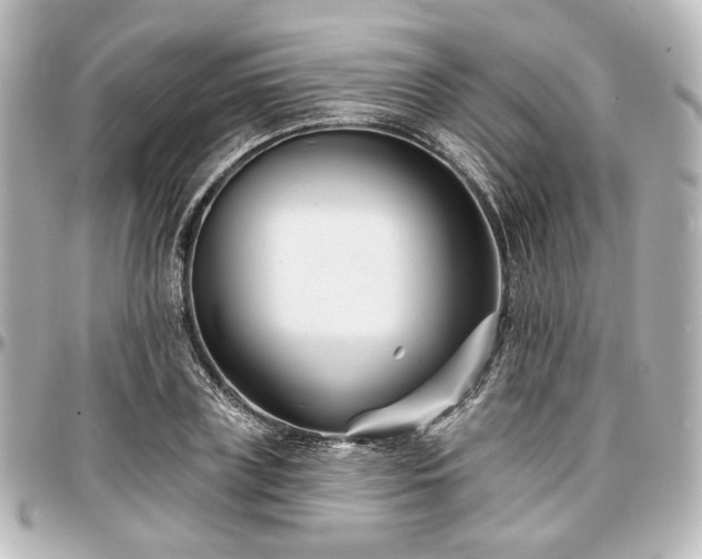 X0000097290835200802221310