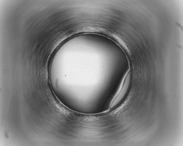 X0000097290837200802221310