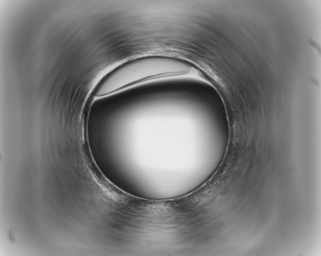 X0000097290838200802221310