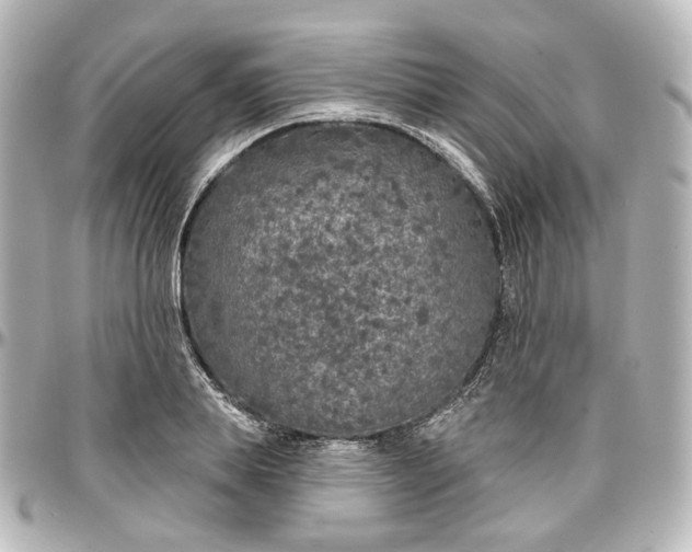 X0000097290839200802221310