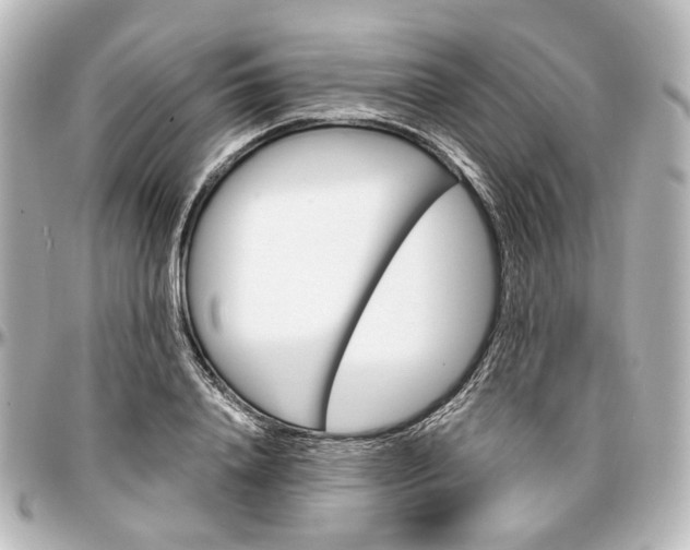 X0000097290840200802221310