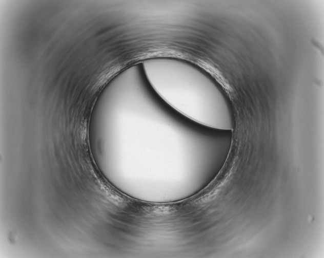 X0000097290841200802221310