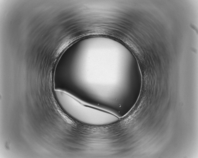 X0000097290842200802221310