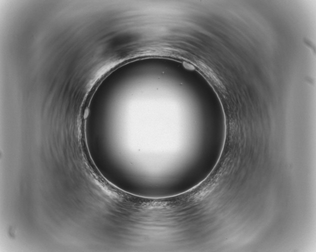 X0000097290846200802221310