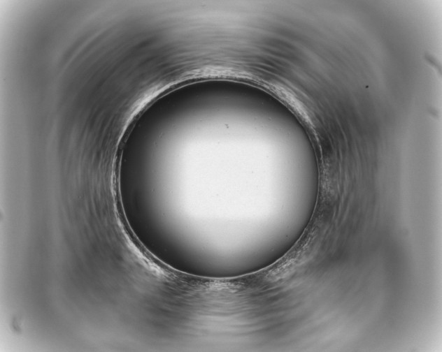 X0000097290847200802221310