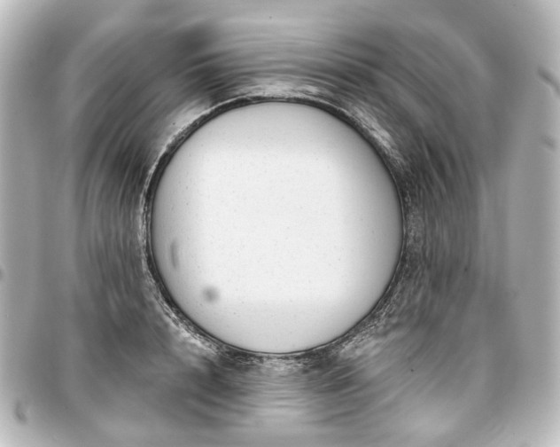 X0000097290848200802221310