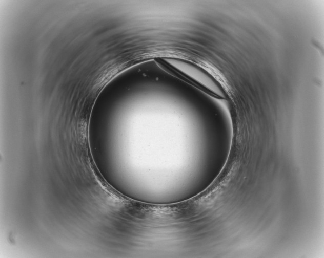 X0000097290849200802221310