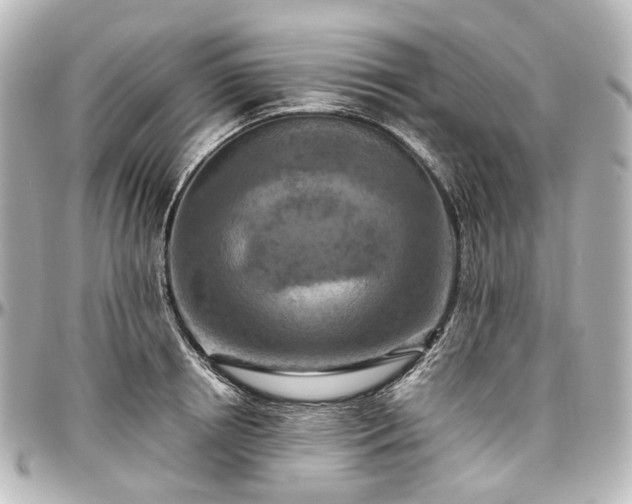 X0000097290850200802221310