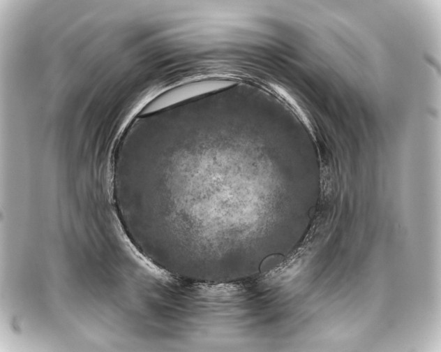 X0000097290851200802221310