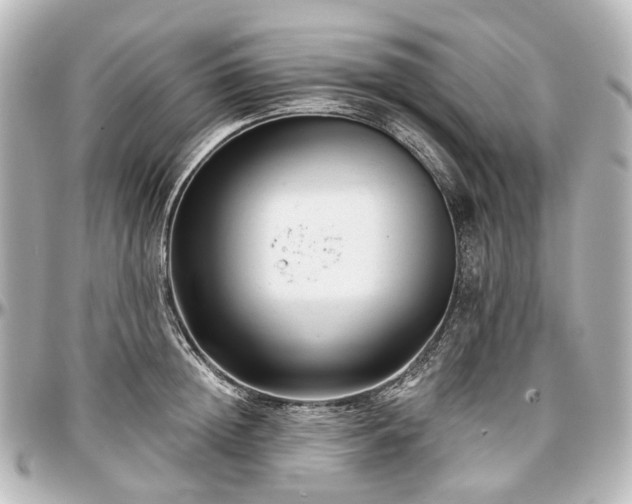 X0000097290852200802221310