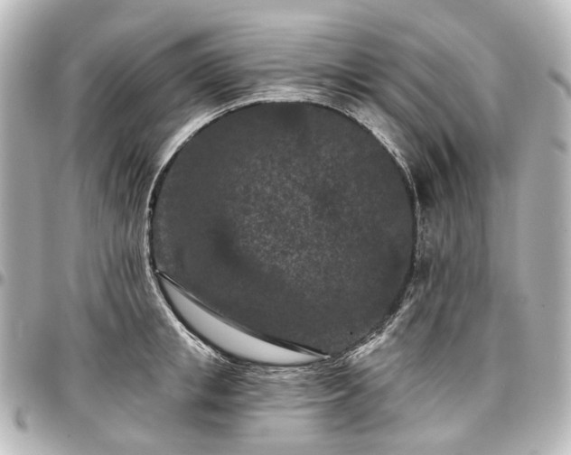 X0000097290853200802221310