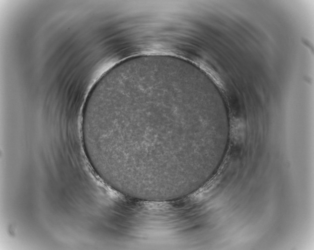 X0000097290856200802221310