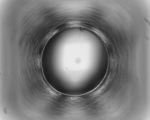 X0000097290857200802221310