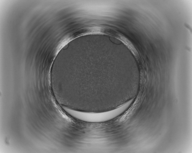 X0000097290858200802221310