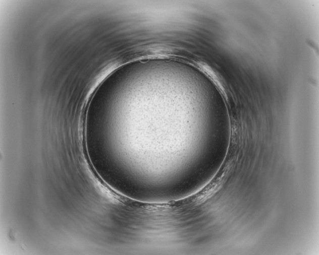 X0000097290859200802221310