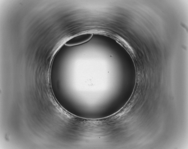 X0000097290860200802221310