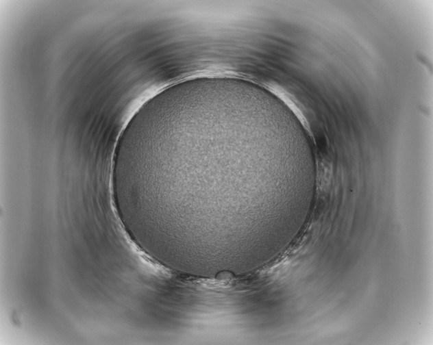 X0000097290861200802221310